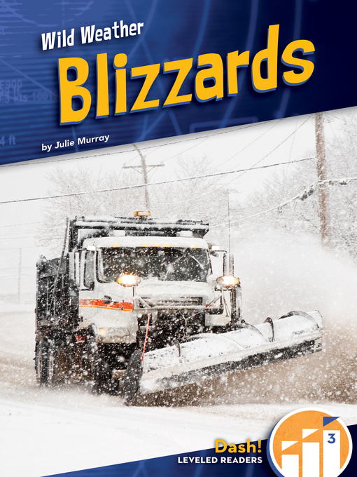 Title details for Blizzards by Julie Murray - Available